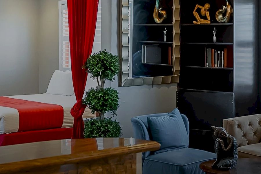 A hotel room with a bed, chair, desk, bookshelf, and plant.