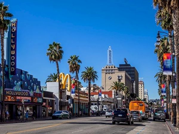 A bustling street scene with palm trees, cars, and colorful signs, including "Hollywood," under a clear blue sky.