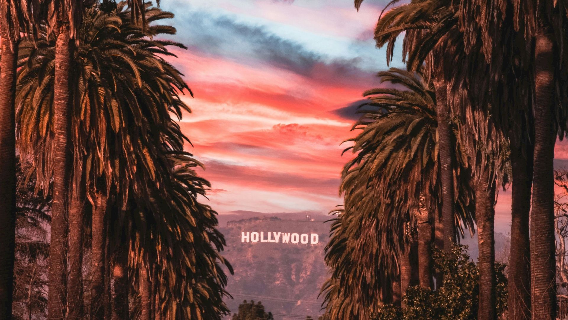 A sunset view of the Hollywood sign framed by tall palm trees against a colorful sky.