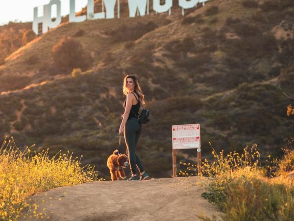 A person walks with a dog near the Hollywood sign, surrounded by greenery and warm sunlight.