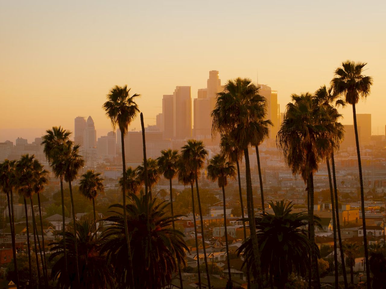 A city skyline at sunset with palm trees in the foreground.